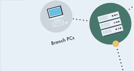 Fern Software